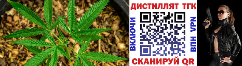 Купить закладки  Комсомольск  ТГК гашишное масло 