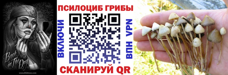 Псилоцибиновые грибы мухоморы  Купить закладки  Комсомольск 